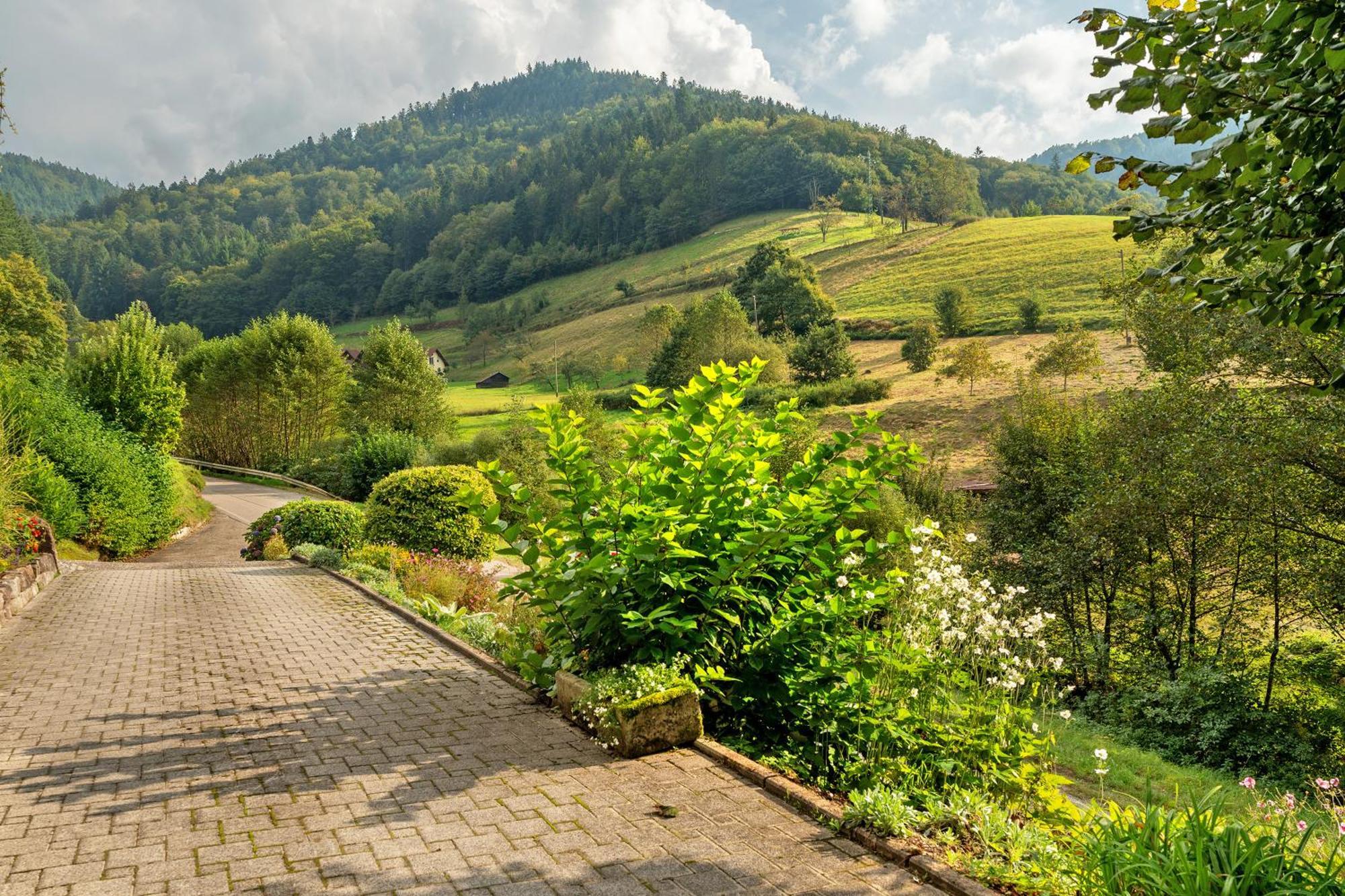 Ottenhofen im Schwarzwald Haus Schindler 아파트 외부 사진
