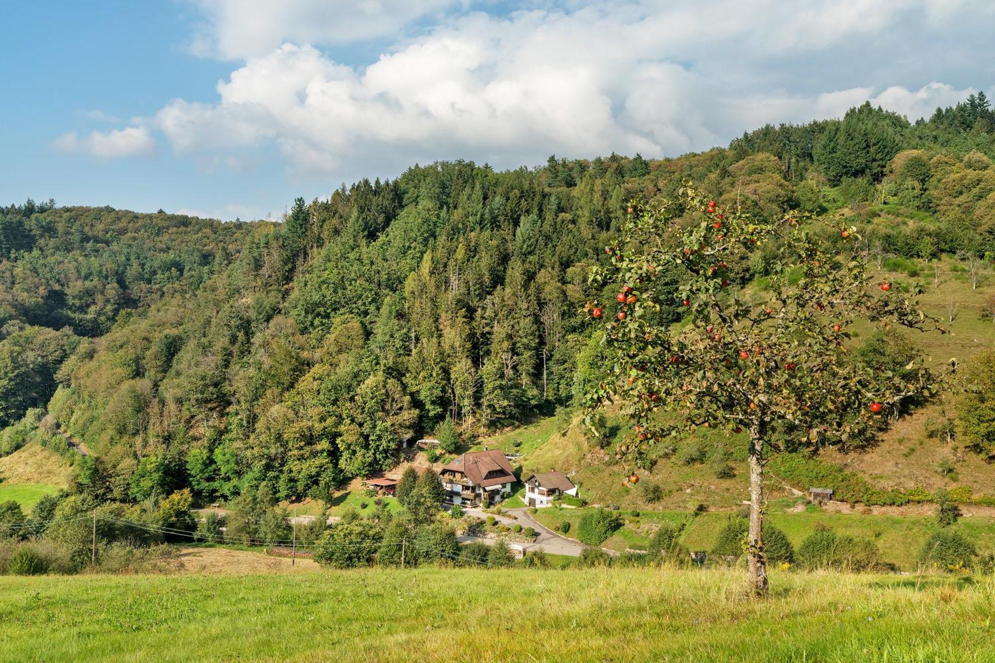 Ottenhofen im Schwarzwald Haus Schindler 아파트 외부 사진